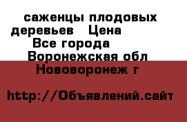 саженцы плодовых деревьев › Цена ­ 6 080 - Все города  »    . Воронежская обл.,Нововоронеж г.